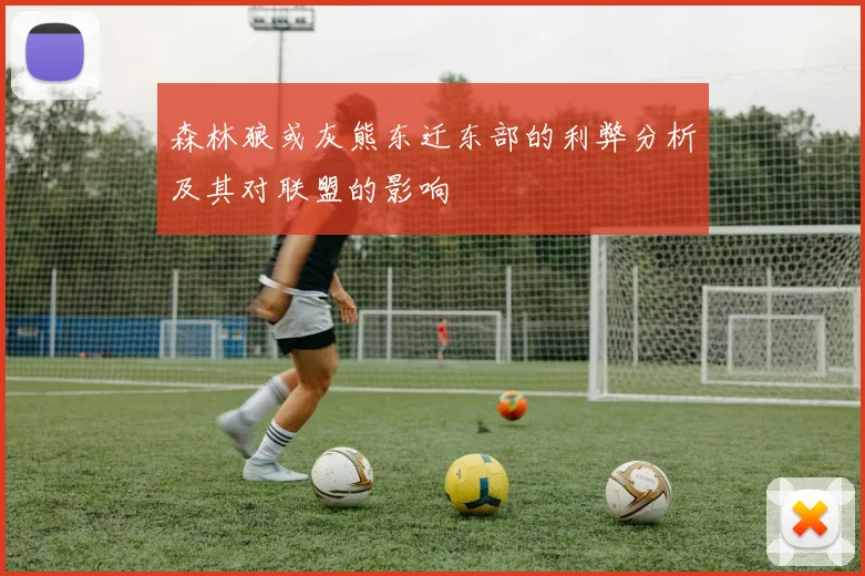 森林狼或灰熊东迁东部的利弊分析及其对联盟的影响